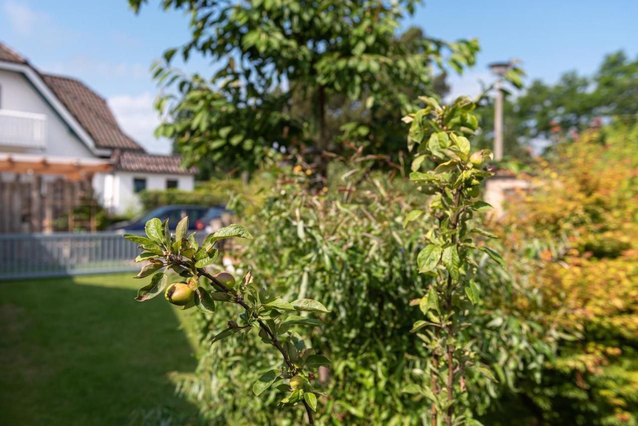 Appartamento Ferienhaus Luetten Kulli - 2 Zingst Esterno foto