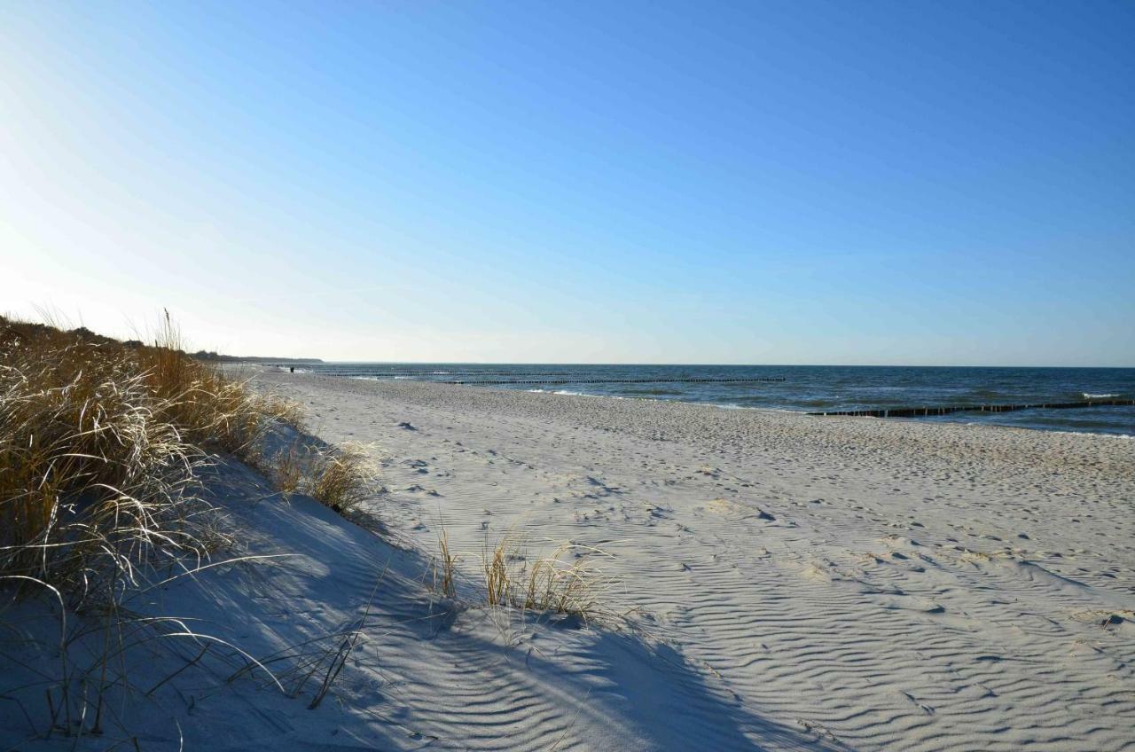 Appartamento Ferienhaus Luetten Kulli - 2 Zingst Esterno foto